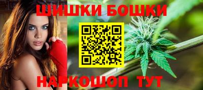 стафф Гусев