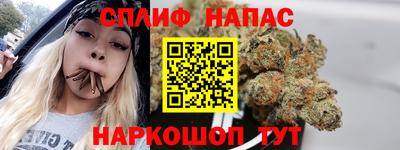 стафф Гусев