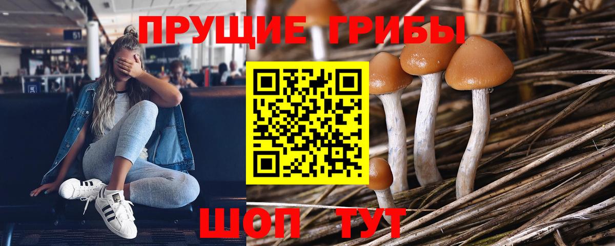 Можайск  Галлюциногенные грибы Magic Shrooms  Вход с VPN  Псилоцибиновые грибы Psilocybine cubensis 