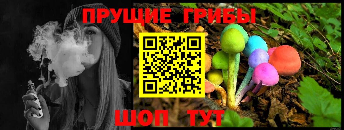 Галлюциногенные грибы Psilocybine cubensis Можайск
